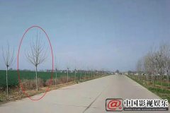  襄城县王洛镇政府170万“绿化款”打水漂